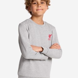 LFC Infants Crew Neck Sweatshirt Grey Marl 5-6