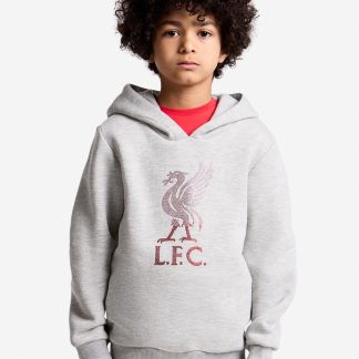 LFC Infants Diamente Liverbird Hoodie Grey 5-6